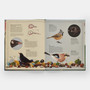 The Tomorrow Tree: How Nature Creates New Life From Old - ISBN 9781837290284 - view 3