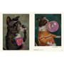 Dog Only Knows: The Dog Portraits of Alison Friend - ISBN 9781648294785 - inside pages 6