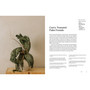 Lasting Impressions: A Guide to Dried Floral Design Featuring More Than 50 Arrangements - ISBN 9781648294044 - inside pages 2