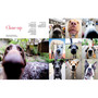 The Dogist: Photographic Encounters with 1,000 Dogs - ISBN 9781579656713 - inside pages 2