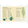 A Field Guide to Tequila: What It Is, Where It’s From, and How to Taste It - ISBN 9781648291487 - inside pages 2