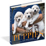 The Dogist Puppies - ISBN 9781579657437 (cover, angled view)
