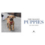 The Dogist Puppies - ISBN 9781579657437 - inside pages 1