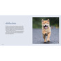 The Dogist Puppies - ISBN 9781579657437 - inside pages 4