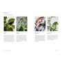 Terrain: The Houseplant Book: An Insider’s Guide to Cultivating and Collecting the Most Sought-After Specimens - ISBN 9781648290909 - inside pages 1