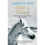 The One Dollar Horse: Race the Wind - ISBN 9781444007978