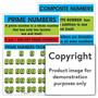 Prime Numbers (2 Charts) - Depicta M34-E