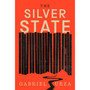 The Silver State: A Novel - ISBN 9781643756677