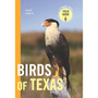 Birds of Texas - ISBN 9781643261997