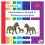Iconic Hoofrekene Graad 3 Onderwysersgids CD - ISBN 9780992239596