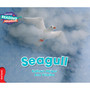 Cambridge Reading Adventures Seagull Red Band - ISBN 9781316503102
