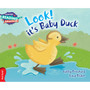 Cambridge Reading Adventures Look! It's Baby Duck Red Band - ISBN 9781107549579