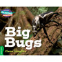 Cambridge Reading Adventures Big Bugs Green Band - ISBN 9781107550643