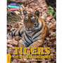 Cambridge Reading Adventures Tigers of Ranthambore Gold Band - ISBN 9781108436137
