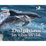 Cambridge Reading Adventures Dolphins in the Wild 3 Explorers - ISBN 9781108405836