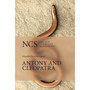 Antony and Cleopatra (The New Cambridge Shakespeare) - ISBN 9780521612876