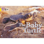 Collins Big Cat - The Baby Turtle: Band 03/Yellow - ISBN 9780007186594