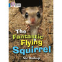 Collins Big Cat - The Fantastic Flying Squirrel: Band 04/Blue - ISBN 9780007185832