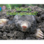 Collins Big Cat - What’s Underground: Band 04/Blue - ISBN 9780007185863