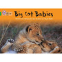 Collins Big Cat - Big Cat Babies: Band 05/Green - ISBN 9780007185948