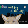 Collins Big Cat - Wild Dog In The City: Band 05/Green - ISBN 9780007539772