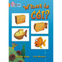 Collins Big Cat - What Is CGI?: Band 06/Orange