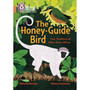 Collins Big Cat - The Honey-Guide Bird: Two Traditional Tales from Africa: Band 12/Copper - ISBN 9780008147105