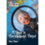 Collins Big Cat - A Year in Barrowswold Forest: Band 15/Emerald - ISBN 9780008208868