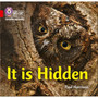 Collins Big Cat Phonics for Letters and Sounds - It is Hidden: Band 02B/Red B - ISBN 9780008251512