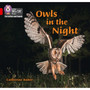 Collins Big Cat Phonics for Letters and Sounds - Owls in the Night: Band 02B/Red B - ISBN 9780008410230