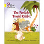 Collins Big Cat Phonics for Letters and Sounds - The Foolish, Timid Rabbit: Band 03/Yellow - ISBN 9780008251550