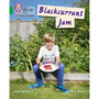 Collins Big Cat Phonics for Letters and Sounds - Blackcurrant Jam: Band 05/Green - ISBN 9780008230296