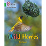 Collins Big Cat Phonics for Letters and Sounds - Wild Homes: Band 05/Green - ISBN 9780008352066