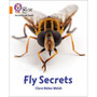 Collins Big Cat Phonics for Letters and Sounds - Fly Secrets: Band 06/Orange - ISBN 9780008373344