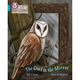 Collins Big Cat Phonics for Letters and Sounds - The Owl in the Mirror: Band 07/Turquoise - ISBN 9780008442422