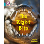Collins Big Cat Phonics for Letters and Sounds - The Right Bite: Band 07/Turquoise - ISBN 9780008442484