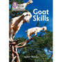 Collins Big Cat Phonics for Letters and Sounds – Age 7+ - Goat Skills: Band 04/Blue - ISBN 9780008446369