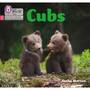 Big Cat Phonics for Little Wandle Letters and Sounds Revised - Cubs: Phase 2 Set 5 - ISBN 9780008502676