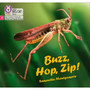 Big Cat Phonics for Little Wandle Letters and Sounds Revised - Buzz, Hop, Zip!: Phase 2 Set 5 - ISBN 9780008502478