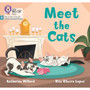 Big Cat Phonics for Little Wandle Letters and Sounds Revised - Meet the Cats: Phase 3 Set 1 Blending practice - ISBN 9780008668242