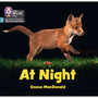 Big Cat Phonics for Little Wandle Letters and Sounds Revised - At Night: Phase 3 Set 1 Blending practice - ISBN 9780008668334