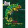 Big Cat Phonics for Little Wandle Letters and Sounds Revised - Reptiles Break Rules: Phase 5 Set 5 - ISBN 9780008505936
