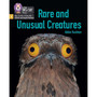 Big Cat Phonics for Little Wandle Letters and Sounds Revised - Rare and Unusual Creatures: Phase 5 Set 5 Stretch and challenge - ISBN 9780008539078