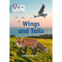 Big Cat Phonics for Little Wandle Letters and Sounds Revised – Age 7+ - Wings and Tails: Phase 3 Set 1 Blending practice - ISBN 9780008551728