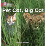 Collins Big Cat Phonics - Pet Cat, Big Cat: Band 02A/Red A - ISBN 9780007235872