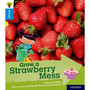 Oxford Reading Tree:Explore With Biff, Chip & Kipper:Level 3: Strawberry Mess - ISBN 9780198396741