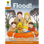 Oxford Reading Tree Biff, Chip and Kipper: Classic Stories Level 8: Flood! - ISBN 9780198483472