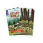 Oxford Reading Tree TreeTops Greatest Stories: Oxford Level 11: Rip Van Winkle Pack 6 - ISBN 9780198418597