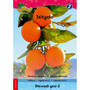 Hola Grade 2 Stage 3 Reader 2 Izityalo - ISBN 9780195993387