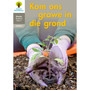 Oxford Storieboom Klanke Graad 2 Leesboek 11: Kom ons grawe in die grond (Nie-fiksie) - ISBN 9780190720650